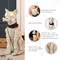 Set of 2 20.50''H Ligted Halloween Lighted MGO Skeleton Dog Porch Decor with Timer